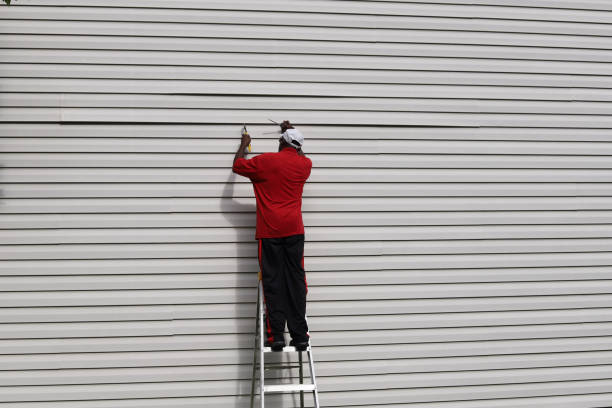 Storm Damage Siding Repair in Loyal, WI