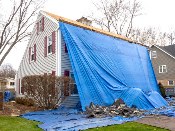 Affordable siding repair and maintenance services in Loyal, WI